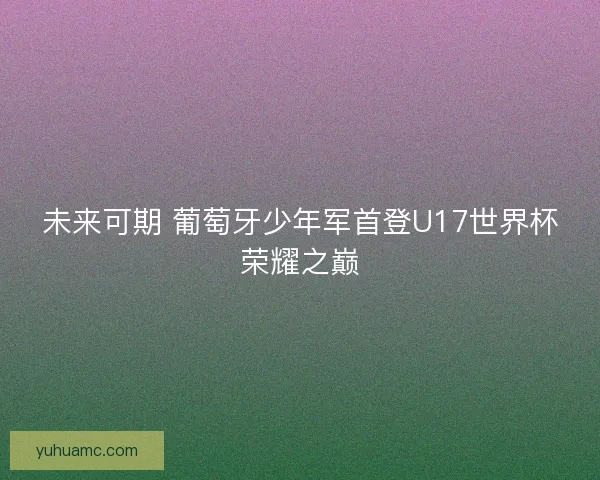 未来可期 葡萄牙少年军首登U17世界杯荣耀之巅